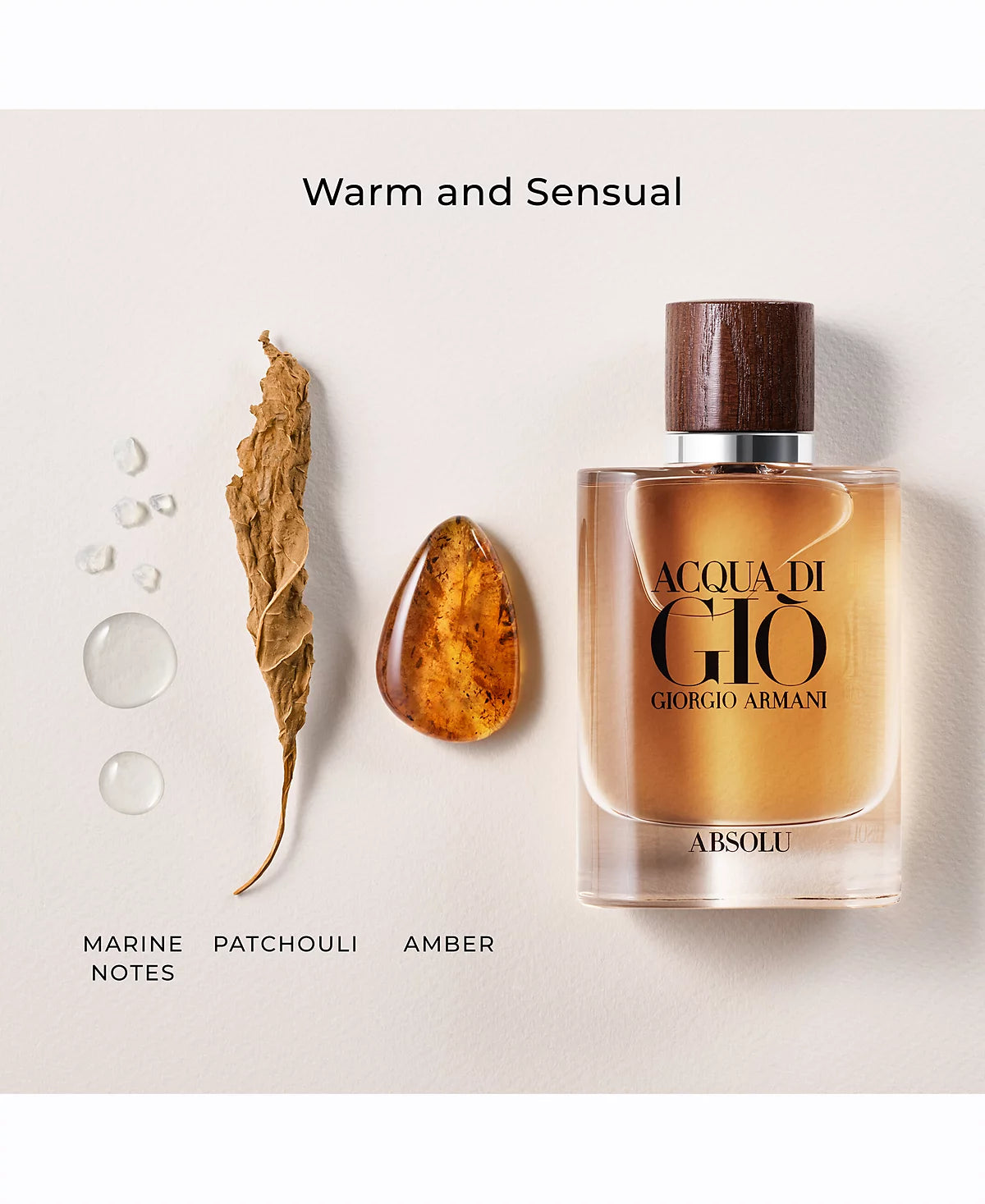 Giorgio Armani Acqua Di Gio Absolu Eau de Parfum