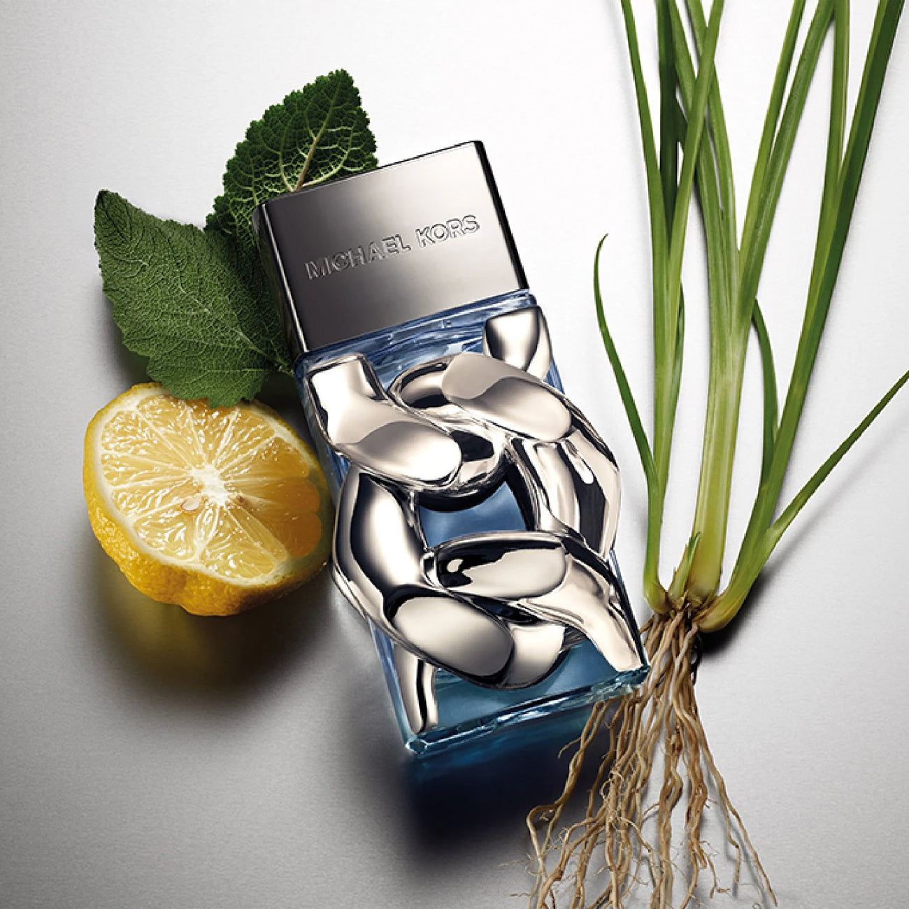 Michael Kors Pour Homme Eau de Parfum