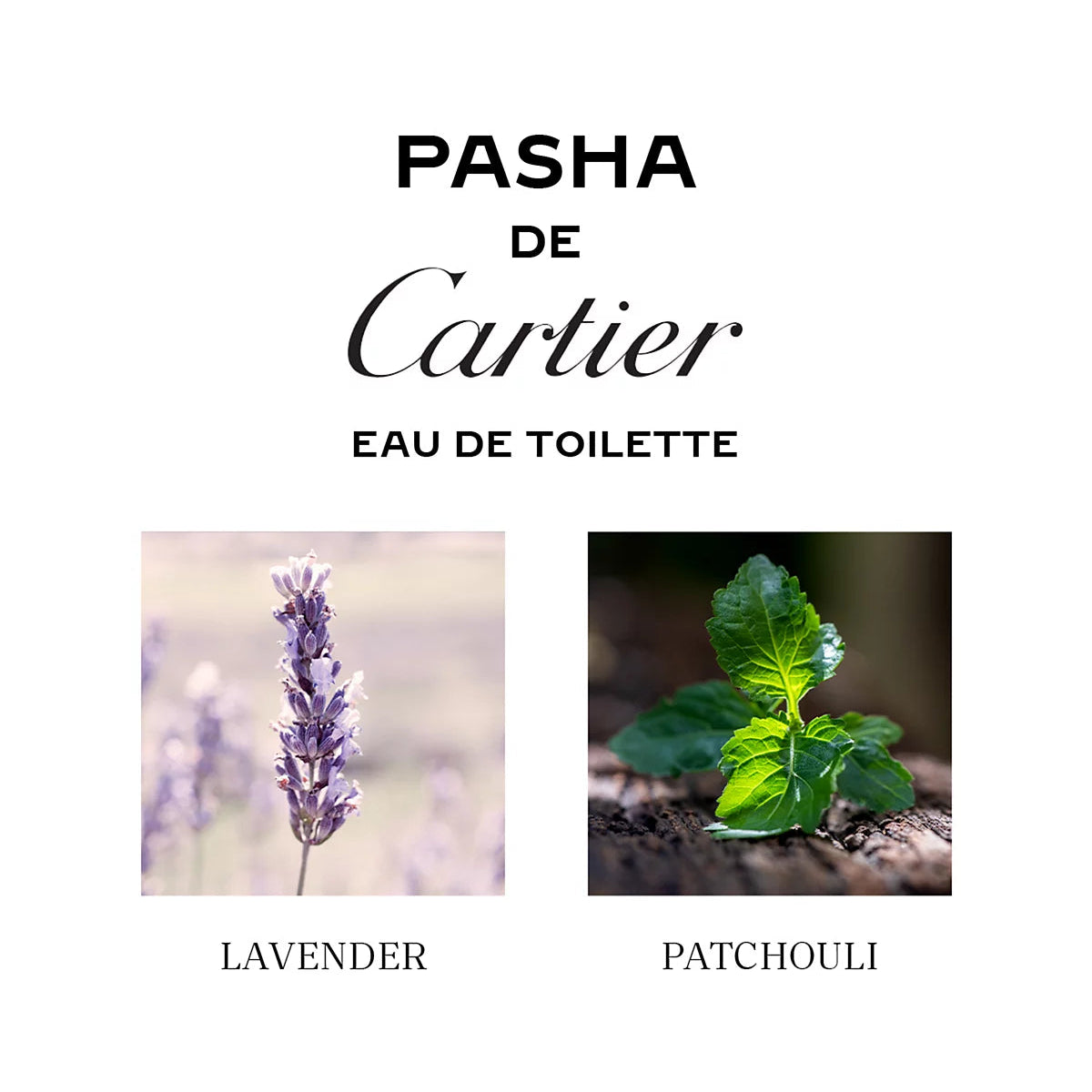 Cartier Pasha De Cartier Eau de Toilette