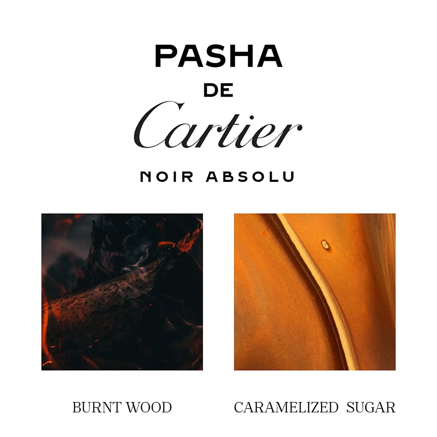 Cartier Pasha De Cartier Noir Absolu Parfum