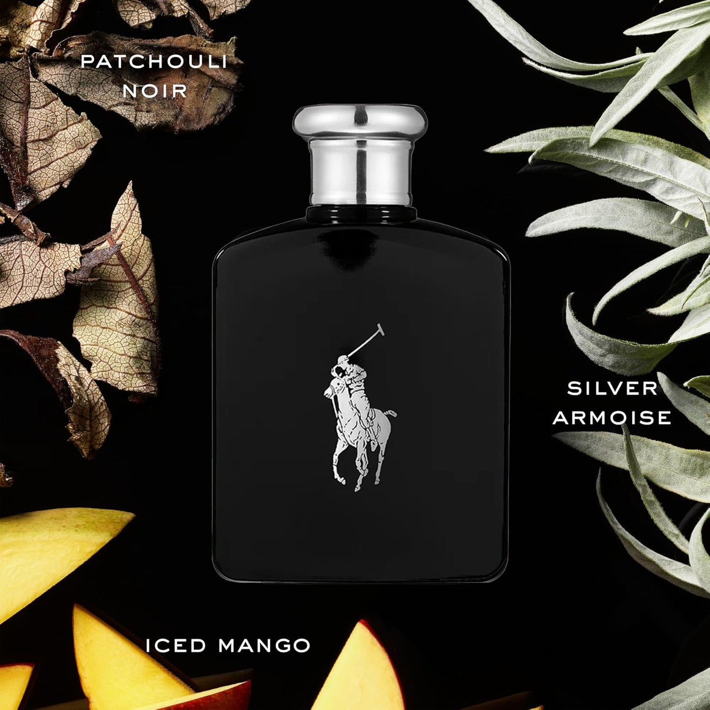 Ralph Lauren Polo Black Eau De Toilette