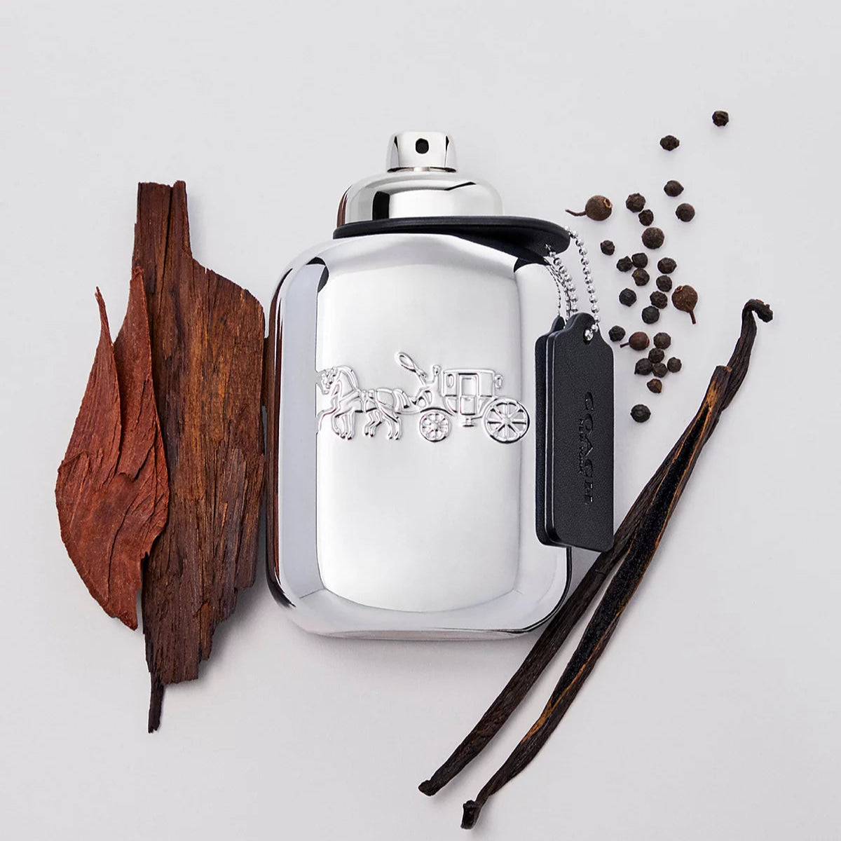 Coach Platinum Eau De Parfum