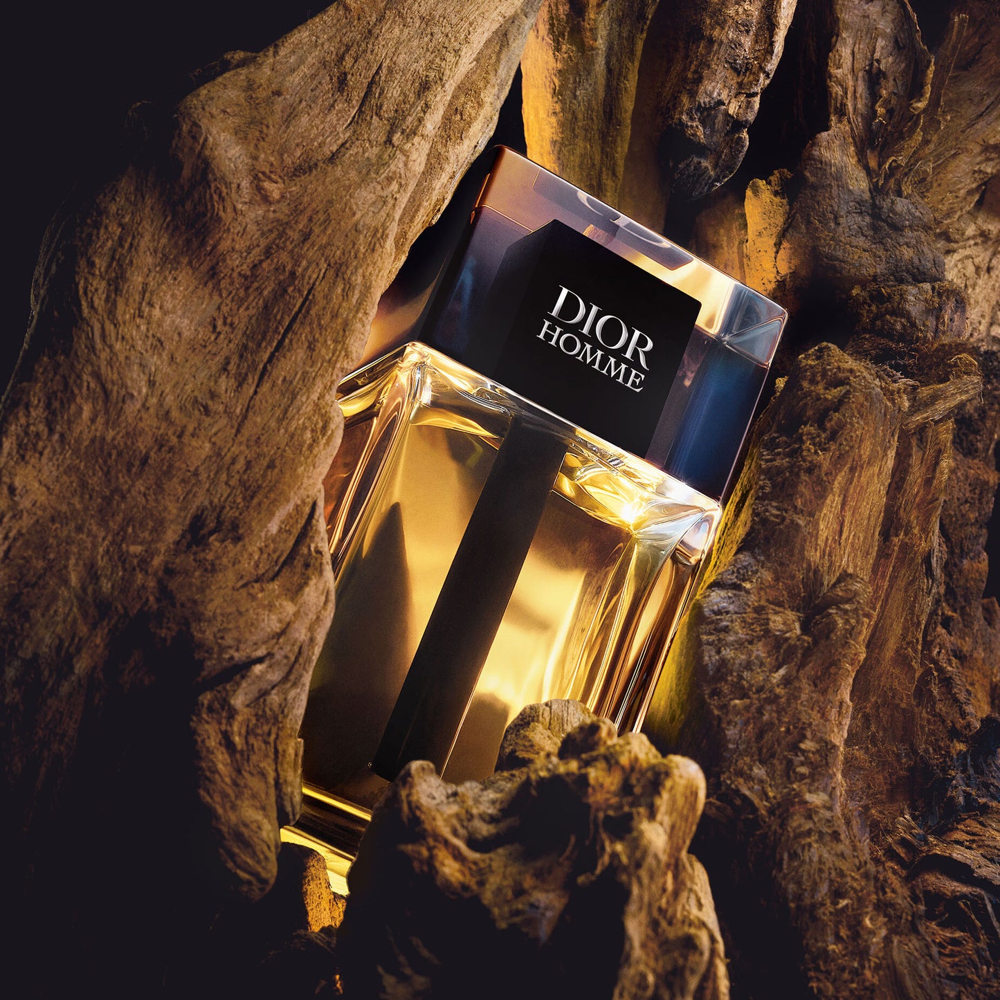 Dior Homme Eau de Toilette