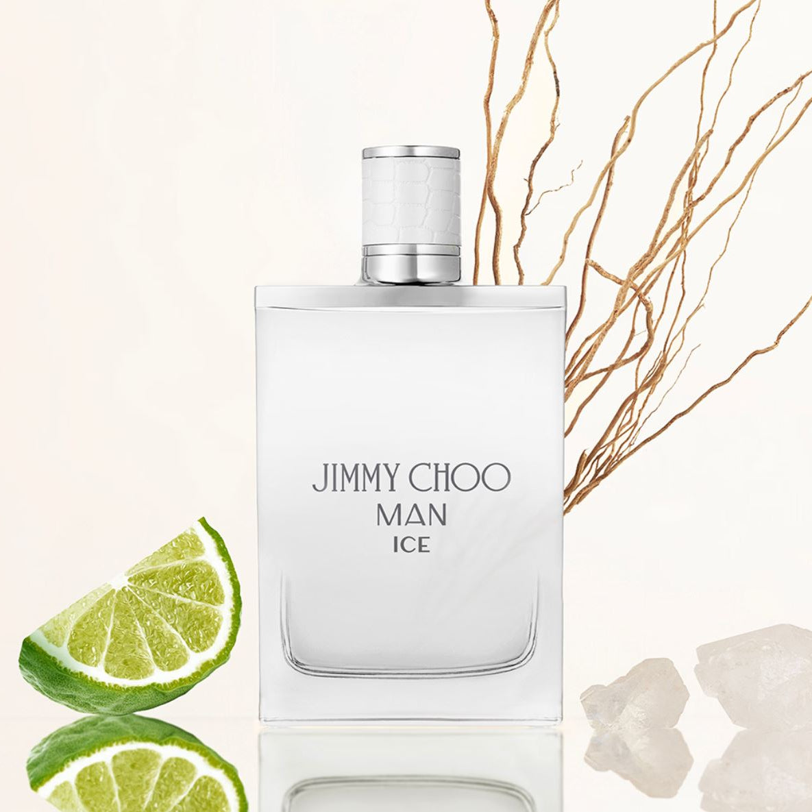 Jimmy Choo Man Ice Eau De Toilette