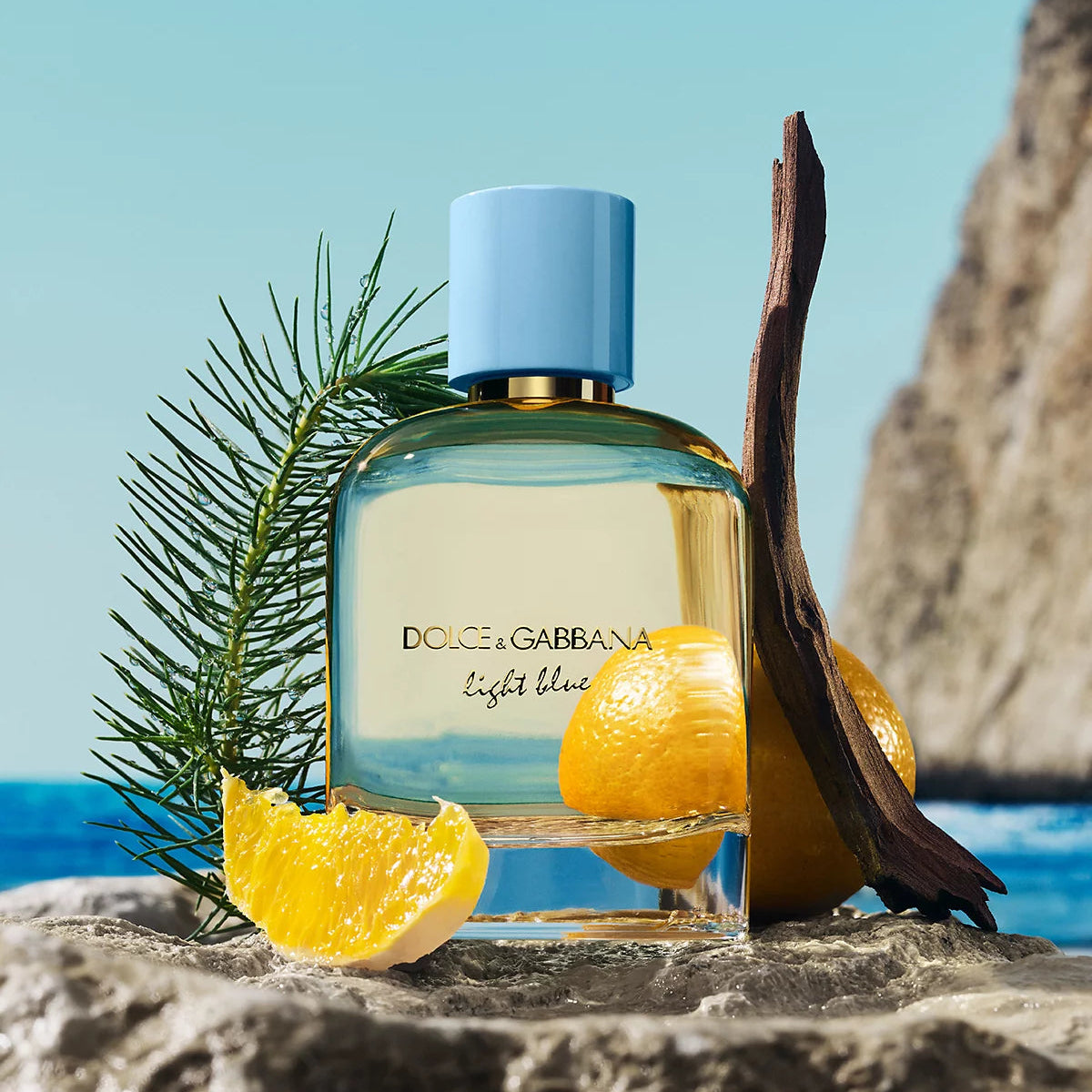 Dolce & Gabbana Light Blue Pour Homme Eau de Parfum