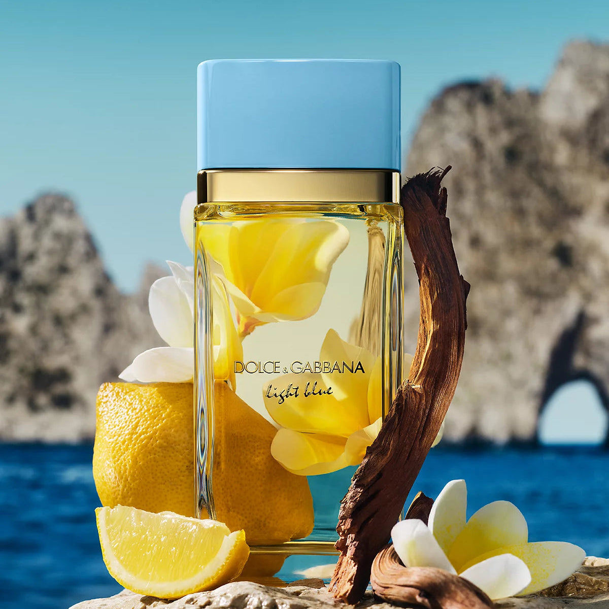Dolce & Gabbana Light Blue Pour Femme Eau de Parfum