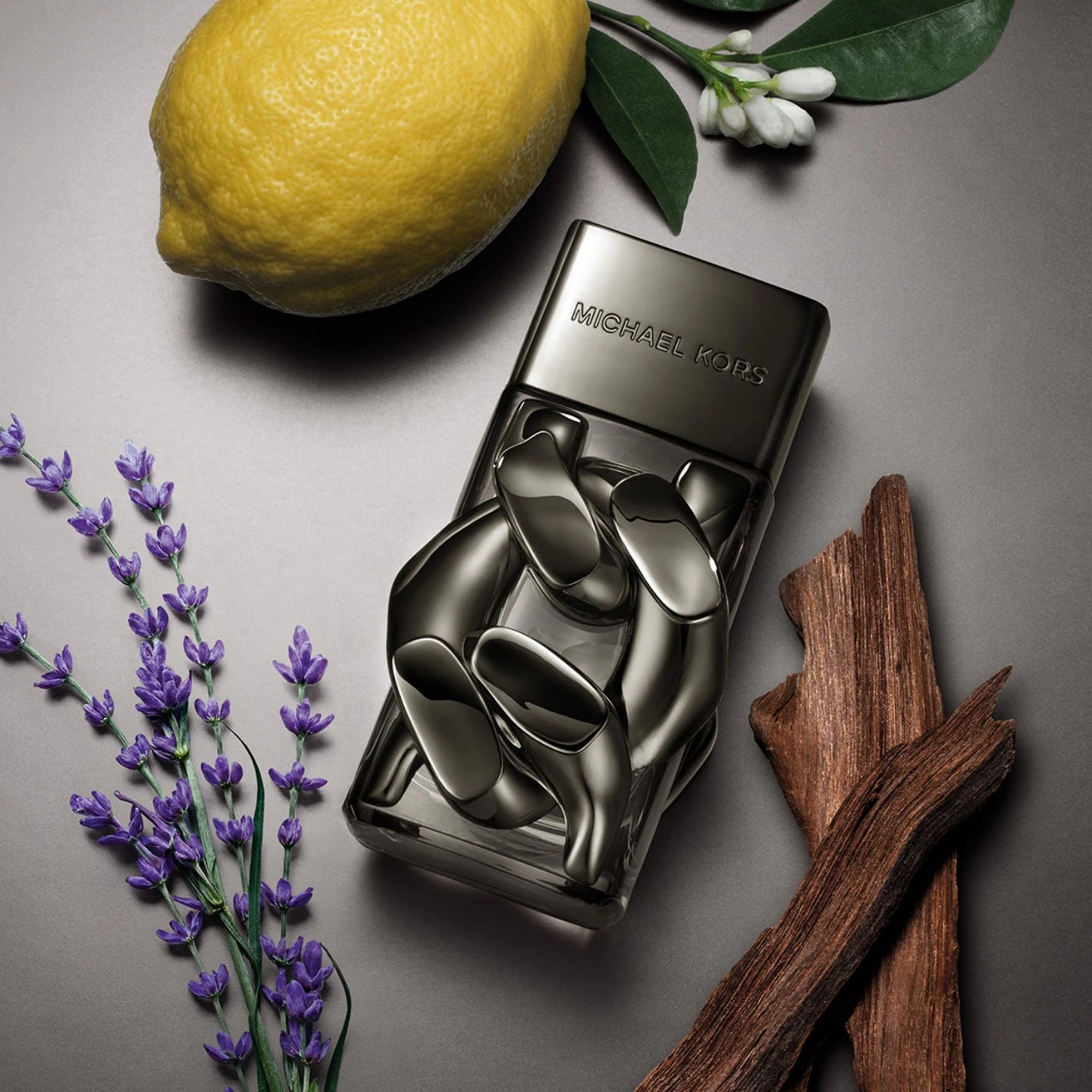 Michael Kors Pour Homme Absolu Eau de Parfum