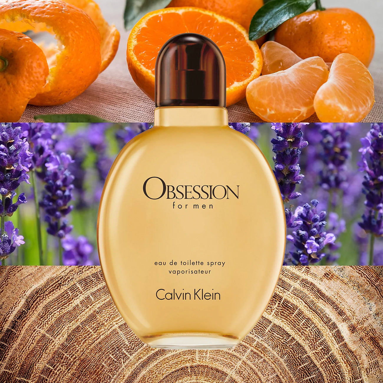 Calvin Klein Obsession for Men Eau de Toilette